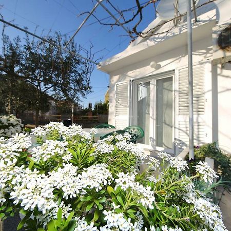 Apartman Antonio Zadar Exterior photo
